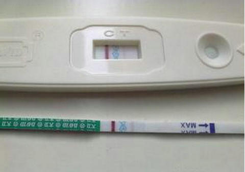 关于青碧生殖